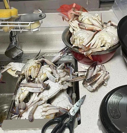 吃吐了？杭州人最愛的它價格持續(xù)走低，肉制品及副產(chǎn)品加工迎來旺季