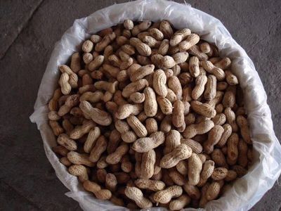 速凍花生 從山東有路食品看凍品農(nóng)副產(chǎn)品的加工與市場(chǎng)前景